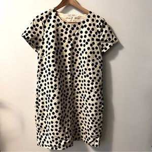 JCrew Short Sleeve Polka Dot dress